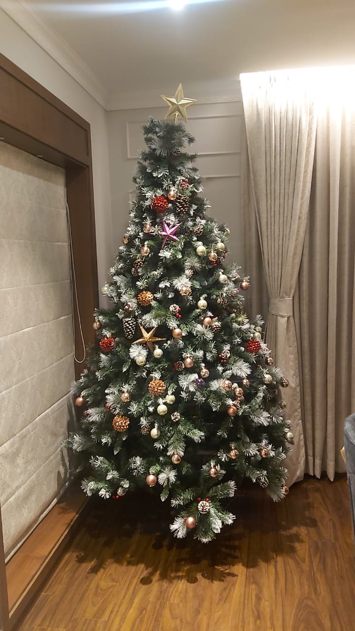 buy christmas tree online Ryan's Christmas Tree Shop