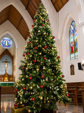 Load image into Gallery viewer, 12ft Venetian Noble FIR Christmas Tree