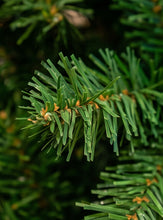 Load image into Gallery viewer, 7 feet premium artificial Spruce Christmas tree India