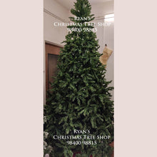 Load image into Gallery viewer, Buy 6ft Imported Artificial Christmas Trees Online in India