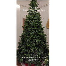 Load image into Gallery viewer, Buy 6ft Imported Evergreen Traditional Spruce Artificial Christmas Trees Online in India