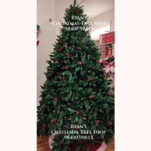 Load image into Gallery viewer, 7ft Greek Wood Spruce Christmas Tree