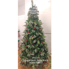 Load image into Gallery viewer, 8ft Jeffery Pine Imported Artificial Christmas Trees - Buy Online in India
