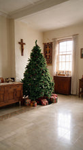 Load image into Gallery viewer, 7 feet lush Spruce Christmas tree with a full natural appearance
