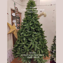 Load image into Gallery viewer, Buy 8 foot Evergreen Traditional Spruce Artificial Christmas Trees Online in India
