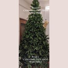 Load image into Gallery viewer, Buy 6ft Imported Artificial Christmas Trees Online in India
