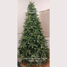 Load image into Gallery viewer, 8ft Oregon Fir Christmas Tree
