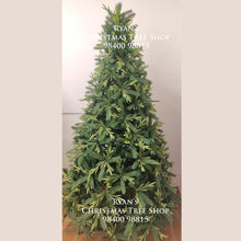 Load image into Gallery viewer, Premium 7-foot Oregon fir Xmas tree Online India
