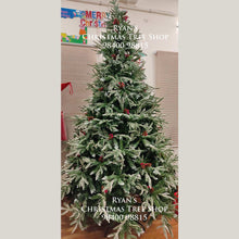 Load image into Gallery viewer, 8ft Snow Kissed Alpine Spruce Artificial Christmas Trees for Sale
