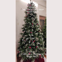 Load image into Gallery viewer, Shop Premium 8ft Venetian Noble Fir Christmas Tree Online | Ryan&#39;s Christmas Tree Shop
